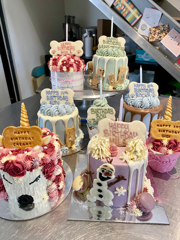 Doggy Cakes, Pupcakes & More