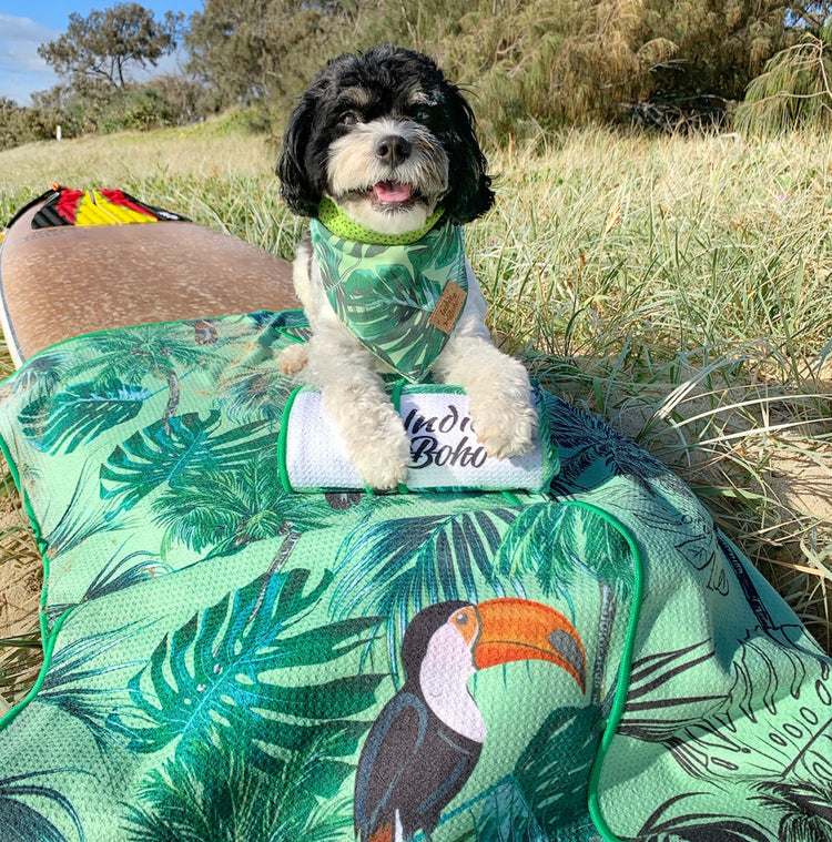 Indie Boho Travel & Training Mats