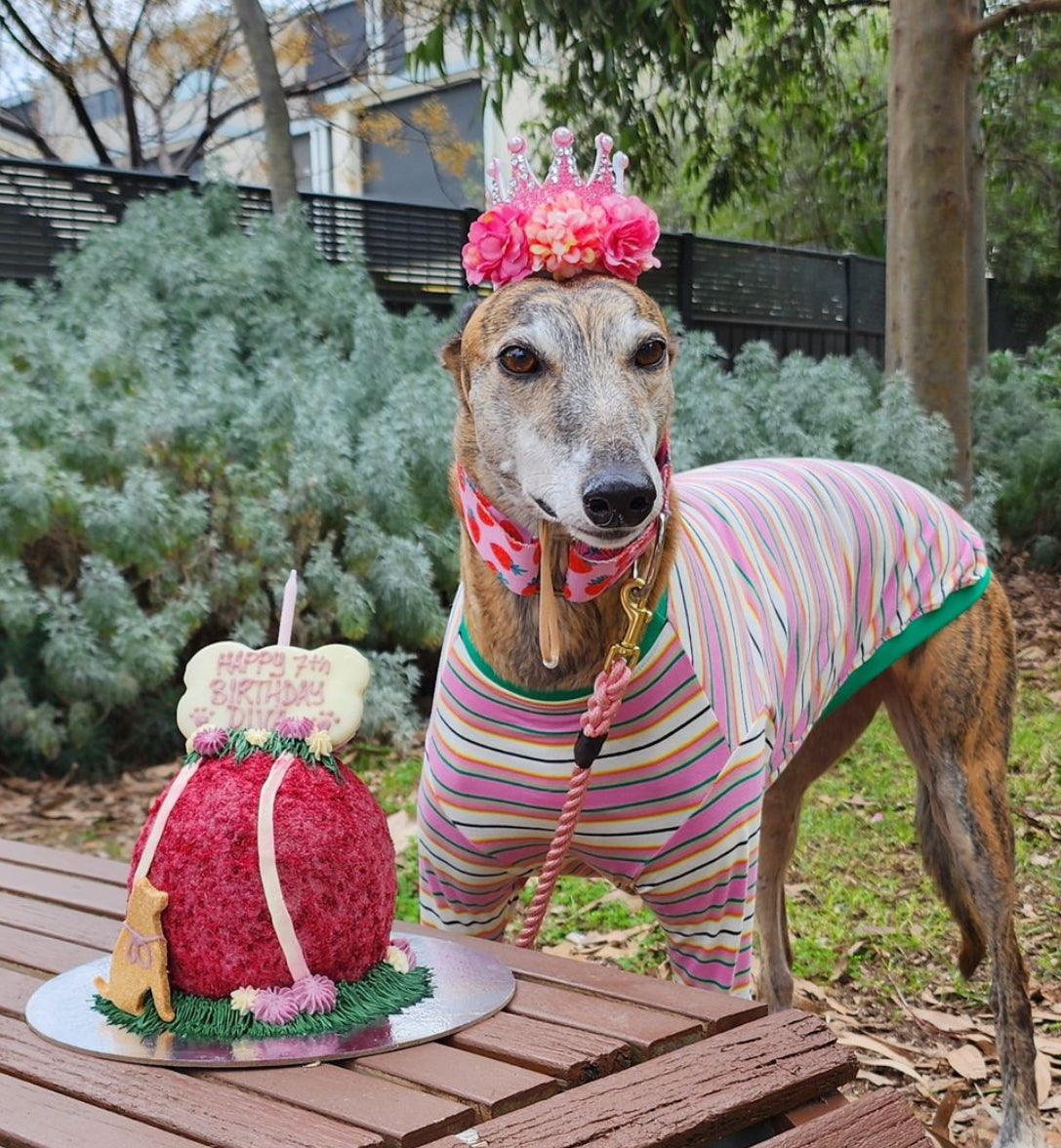 Tennisball Dog Cake 5“ & 6“
