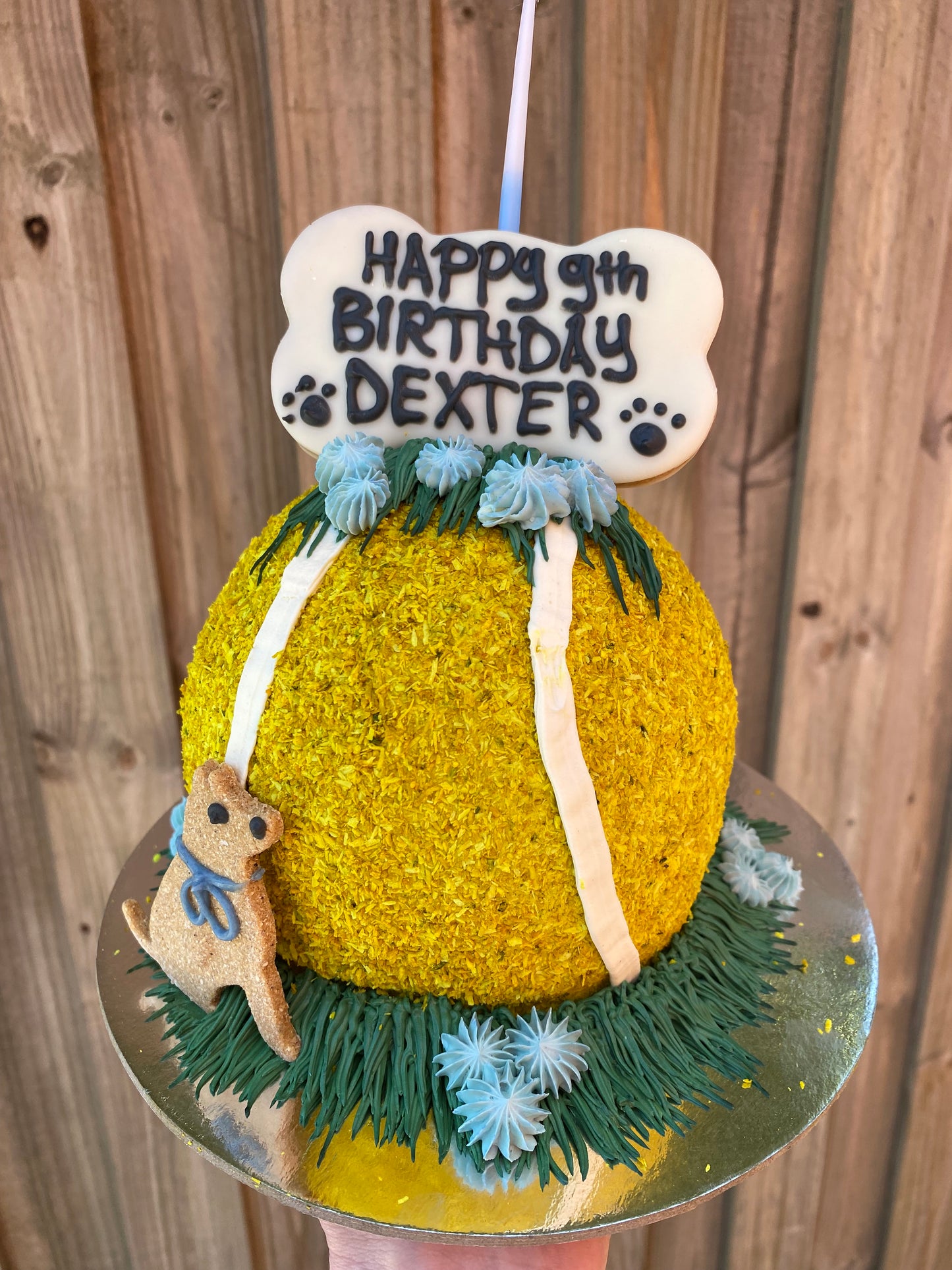 Tennisball Dog Cake 5“ & 6“