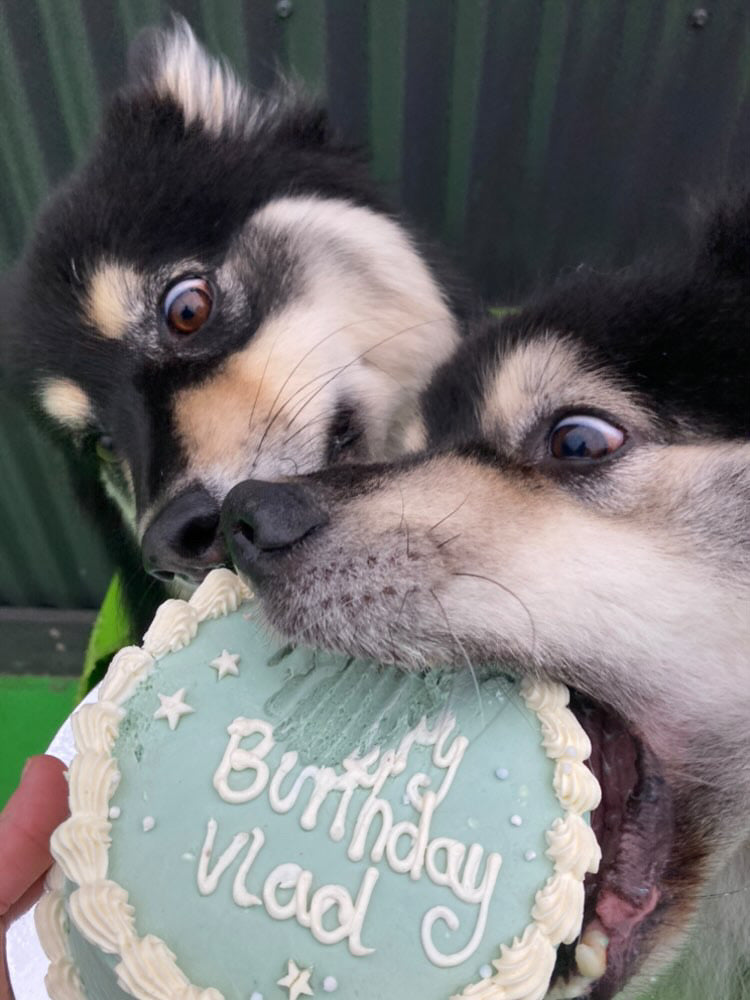 4“ Mini Cake