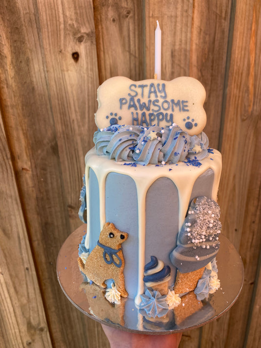 Gourmet Dog Cake with Yoghurt Drip - Blue