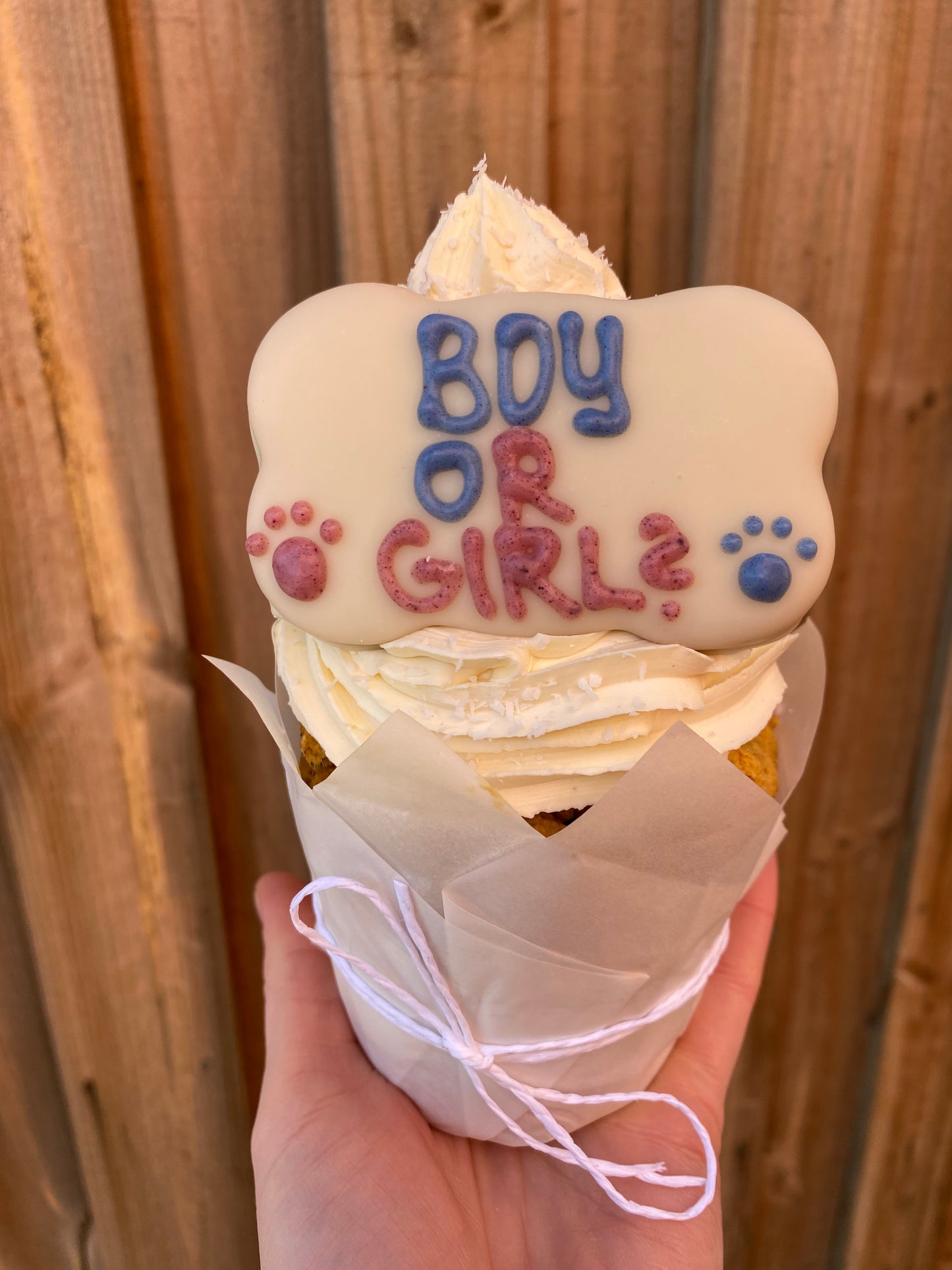 Gender Reveal Dog Cake