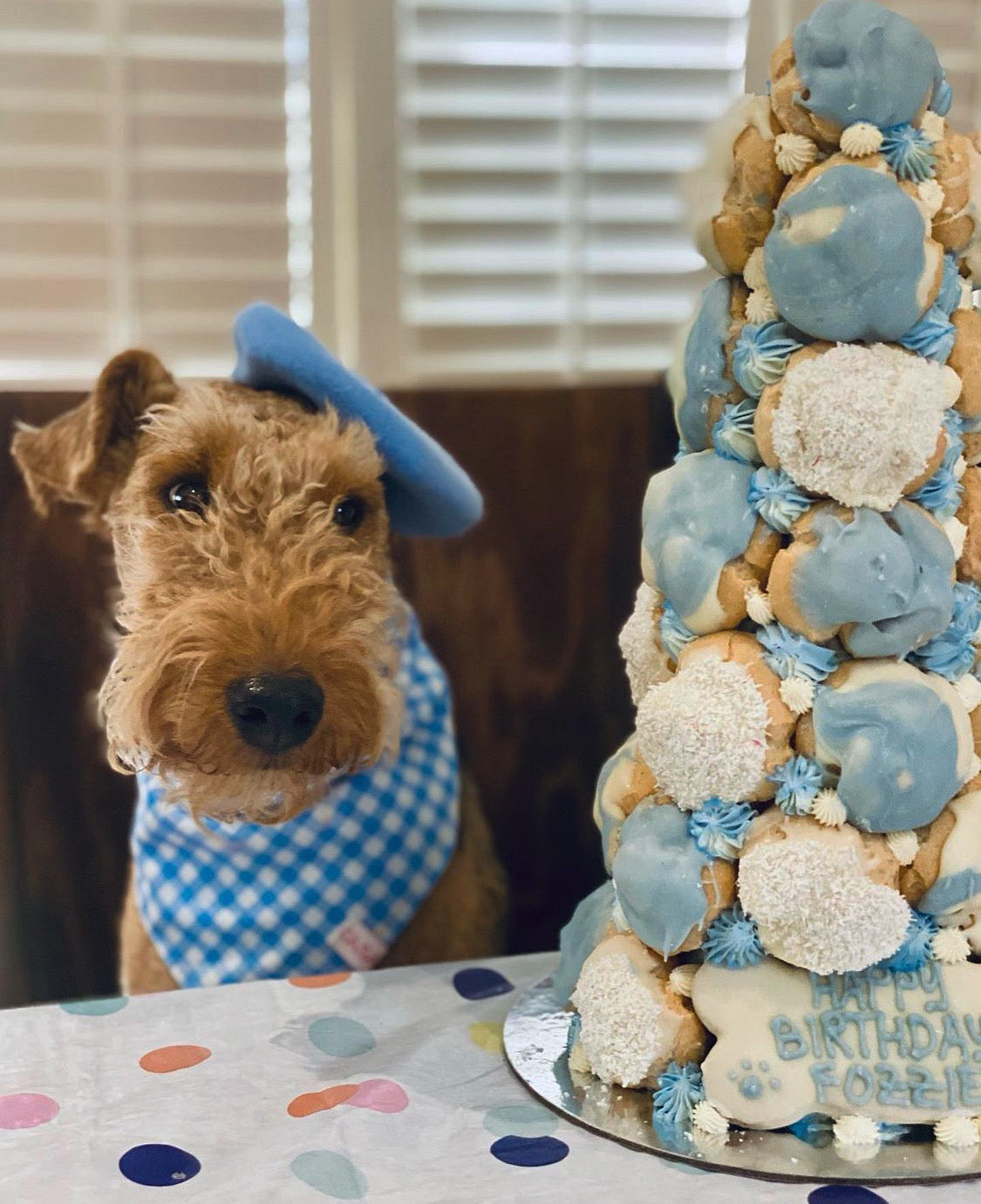 Dogquembouche  - Awake Your Inner Frenchie!