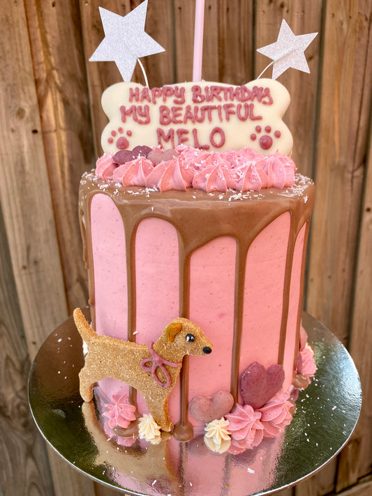 Gourmet Dog Cake with Carob Drip - Pink