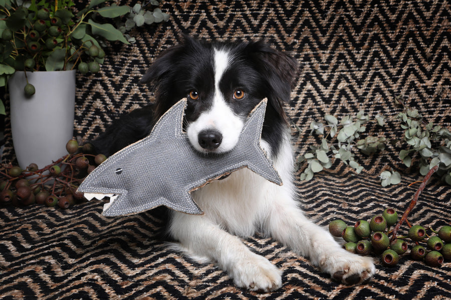 Shazza the Great White Shark Felt Toy