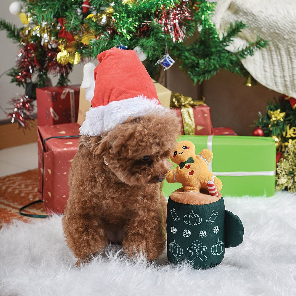 Gingerbread Latte Burrow