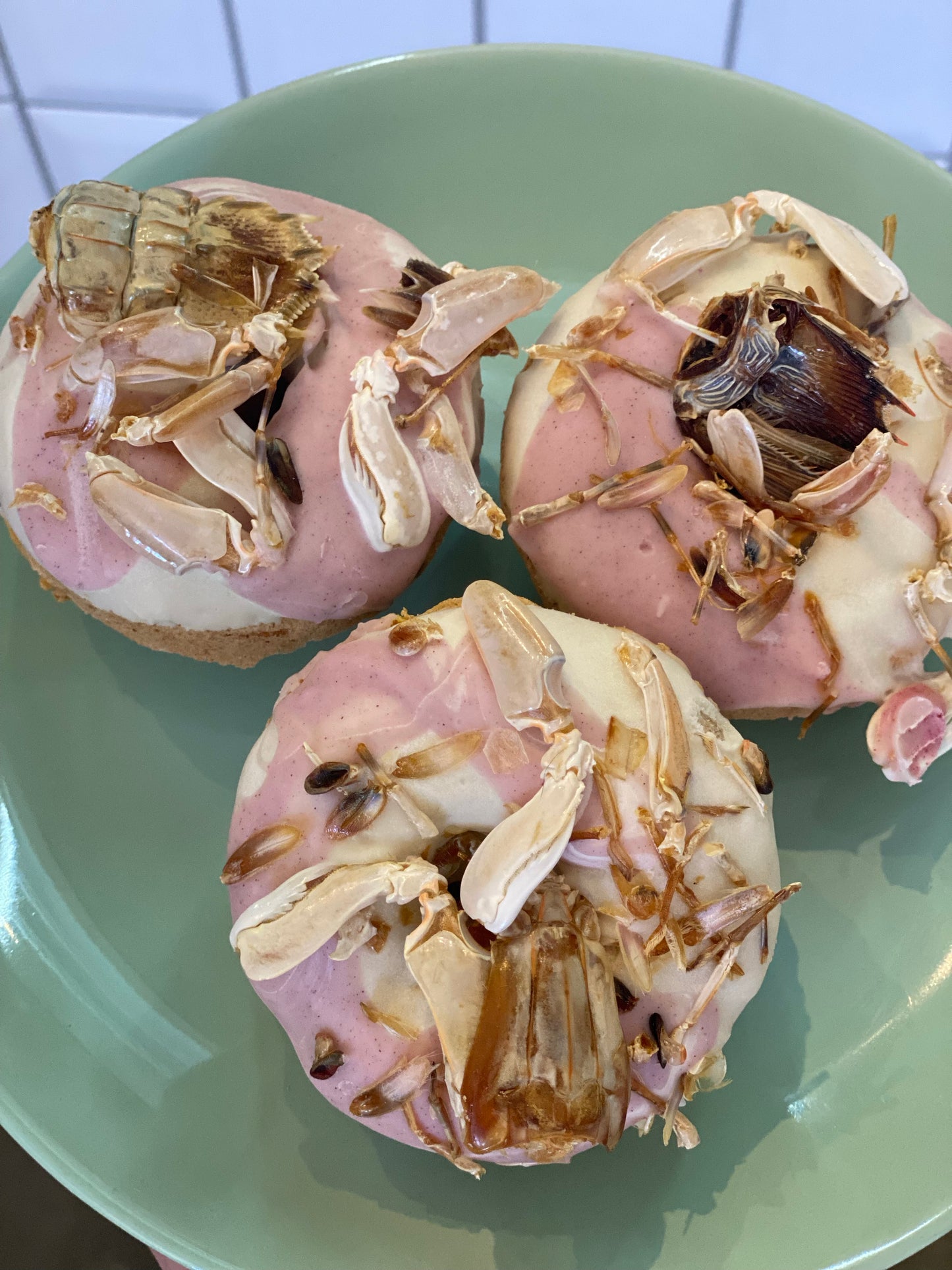 Doggy Donuts