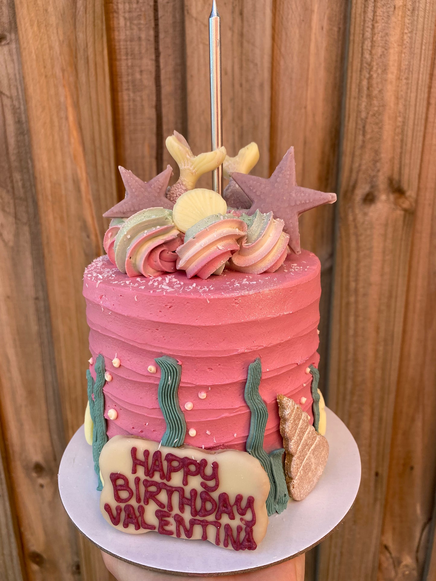 Under The Sea Dog Cake