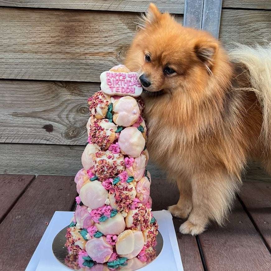 Dogquembouche  - Awake Your Inner Frenchie!