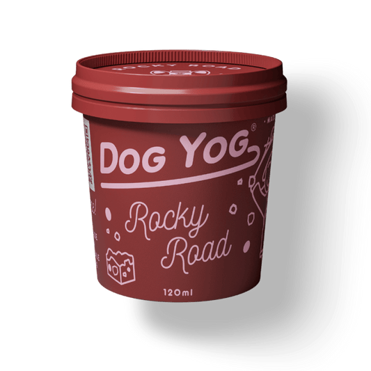 Rocky Road Dog Ice Cream 120ml