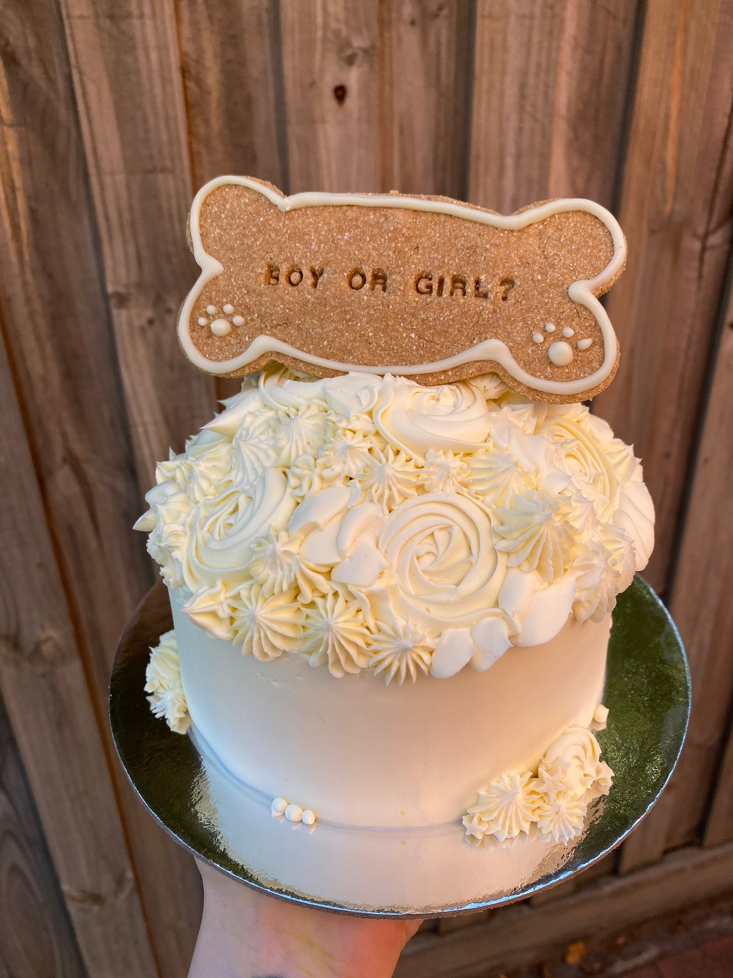 Gender Reveal Dog Cake
