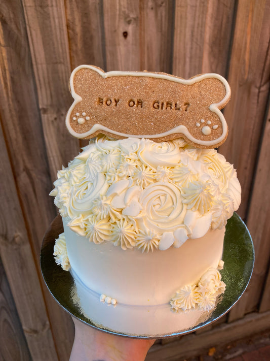 Gender Reveal Dog Cake