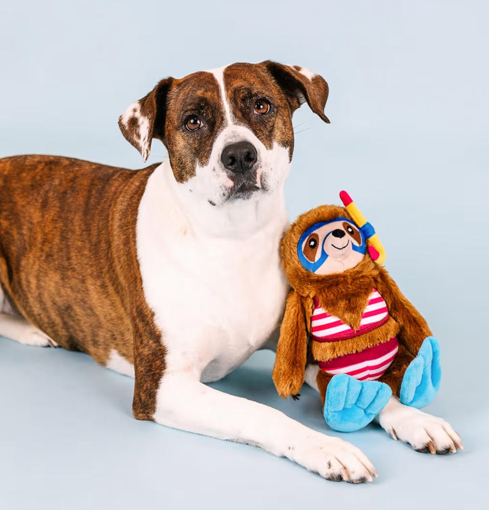 Fringe Studio Swimin With The Fishe Plush Dog Toy