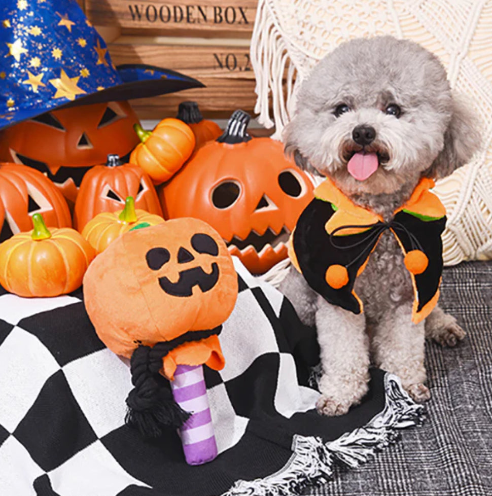 Howloween Night Pumpkin Lollipop