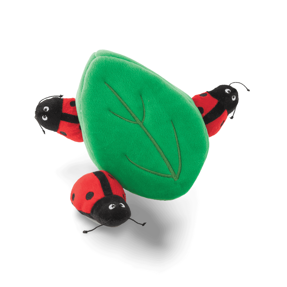 Ladybug in Leaf Burrow