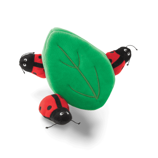 Ladybug in Leaf Burrow