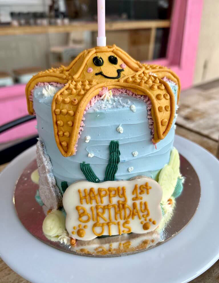 Enquire about a Custom Dog Cake