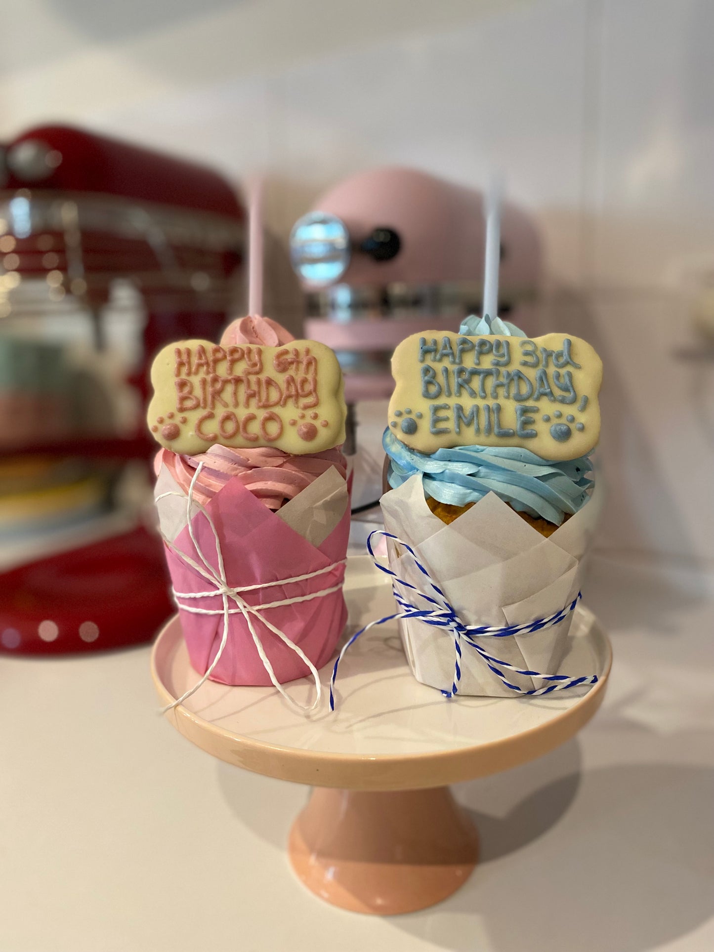 Maxi Pupcake - A Pawty for One