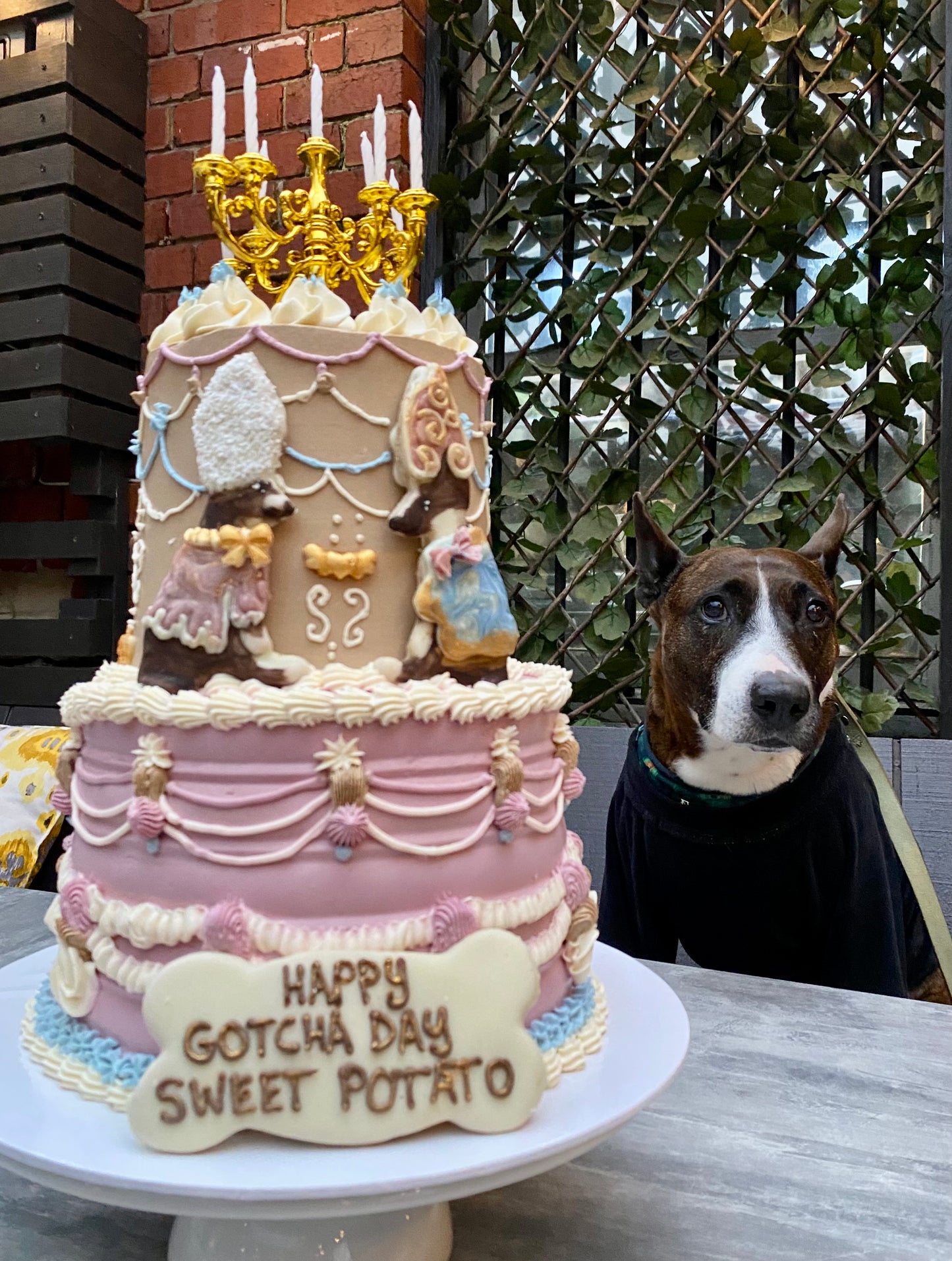 Enquire about a Custom Dog Cake