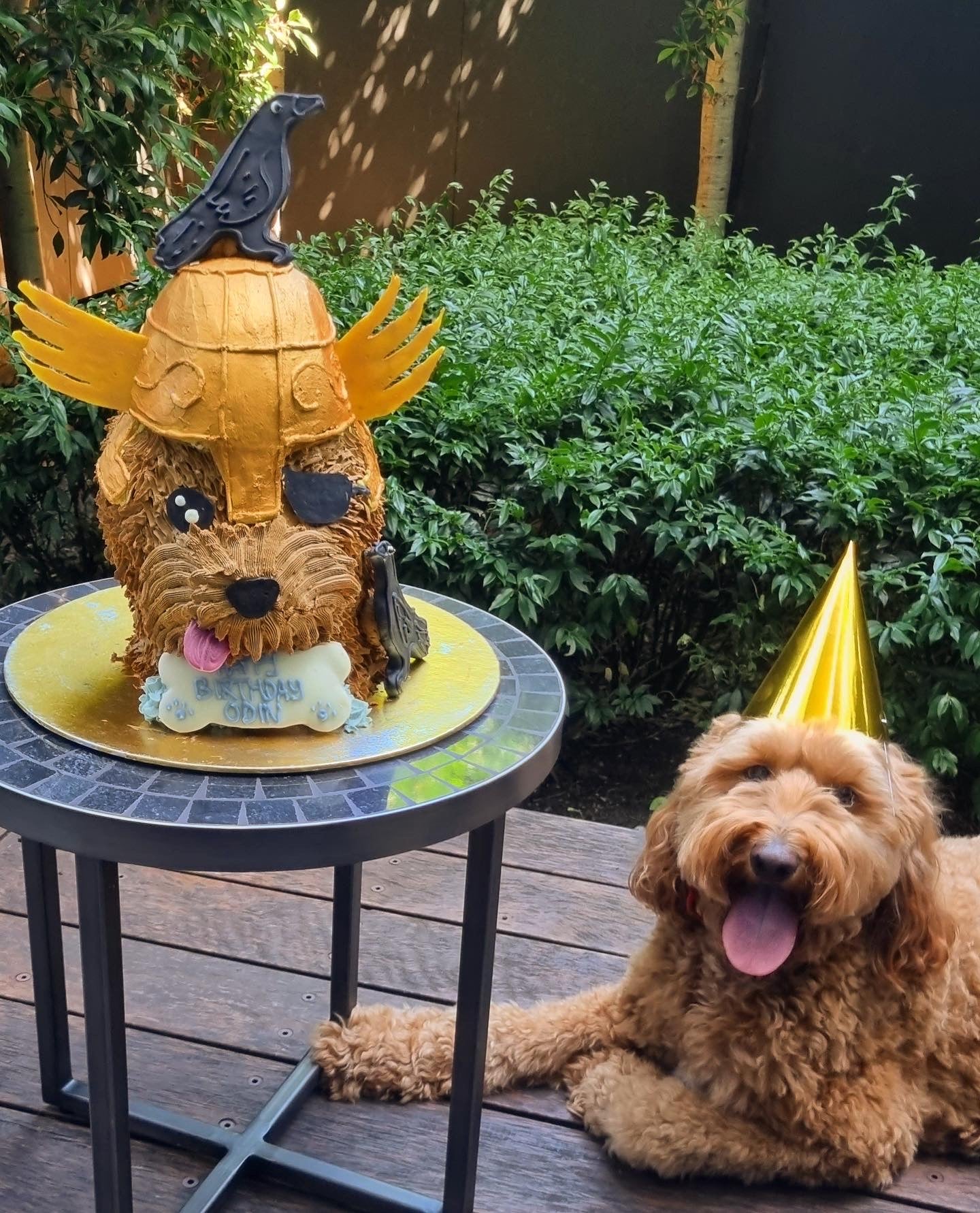 Enquire about a Custom Dog Cake