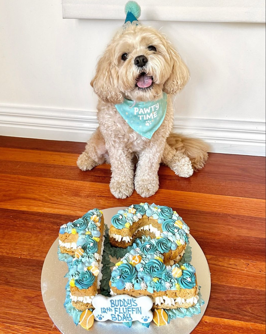 Enquire about a Custom Dog Cake