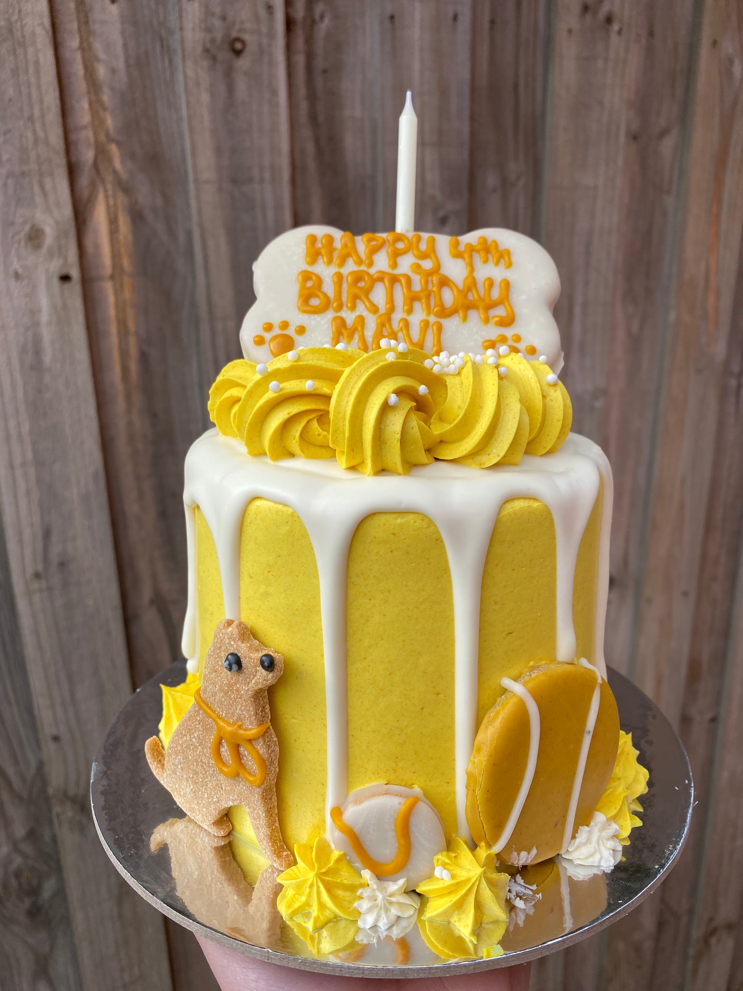 Gourmet Dog Cake with Yoghurt Drip - Yellow