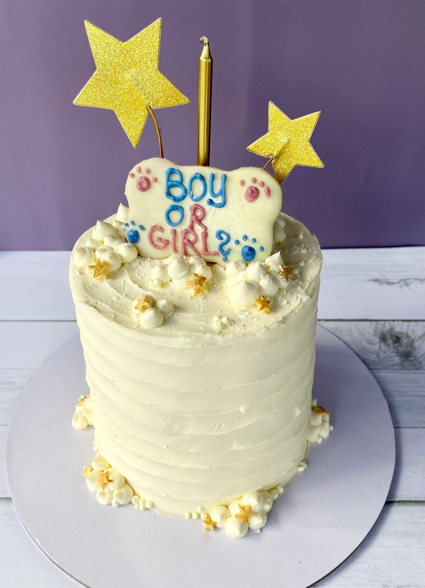 Gender Reveal Dog Cake