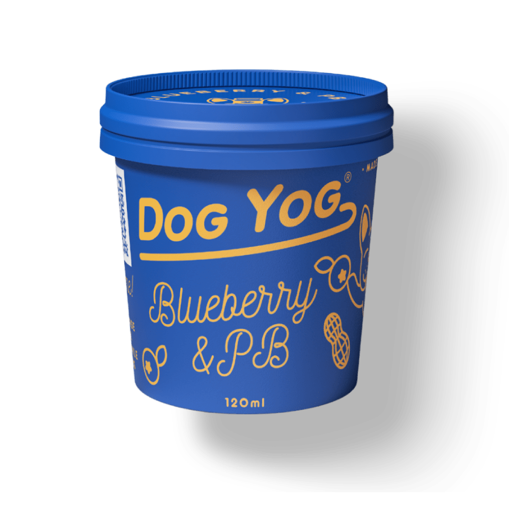 Blueberry & Peanut Butter Dog Ice Cream 120ml