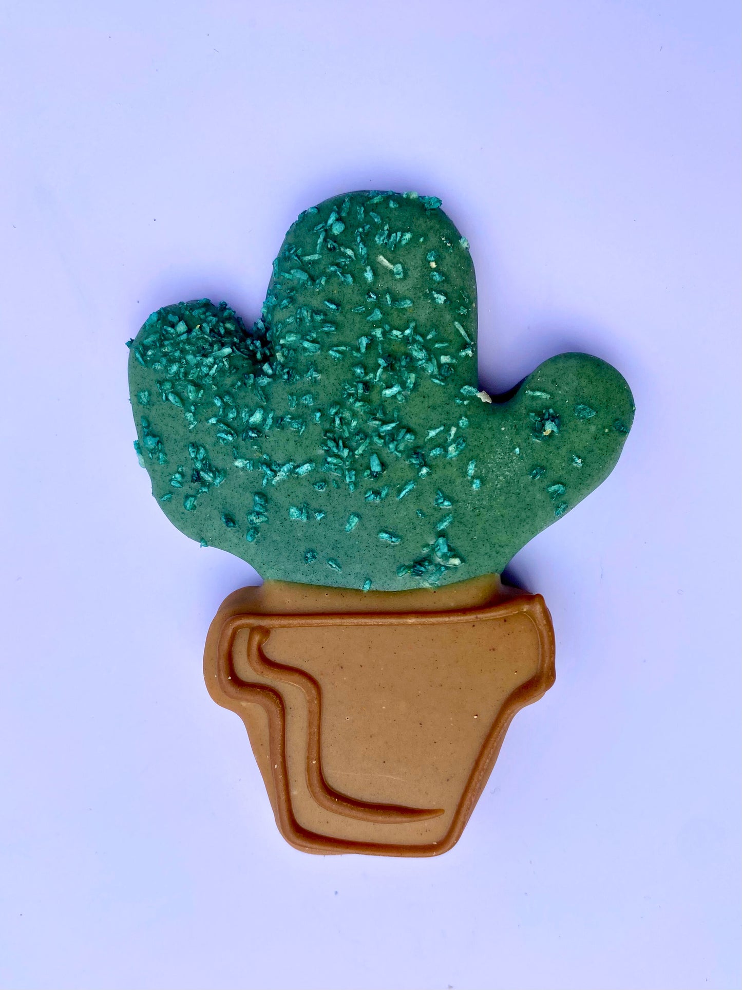 Prickly Pear Iced Cookie
