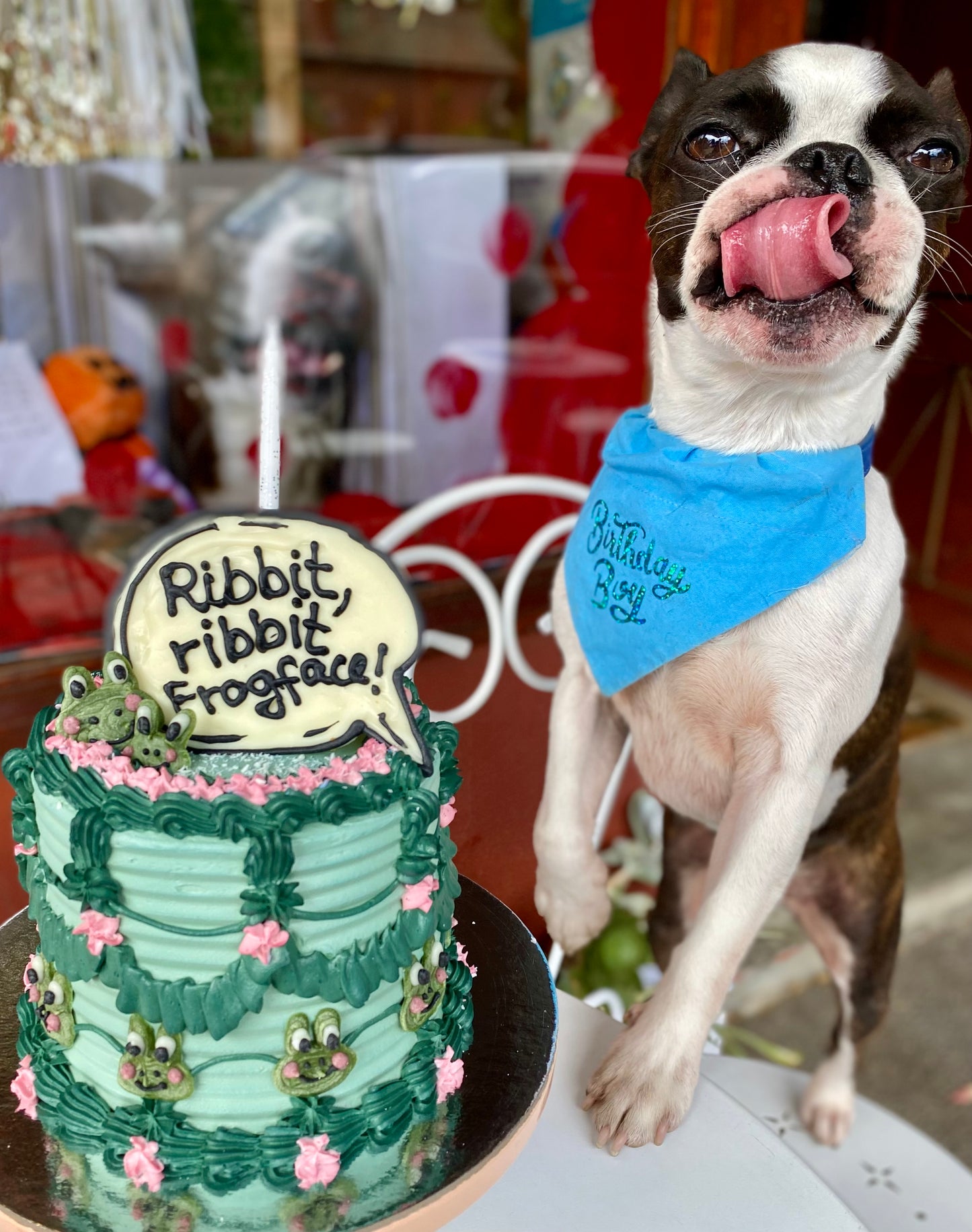 Enquire about a Custom Dog Cake