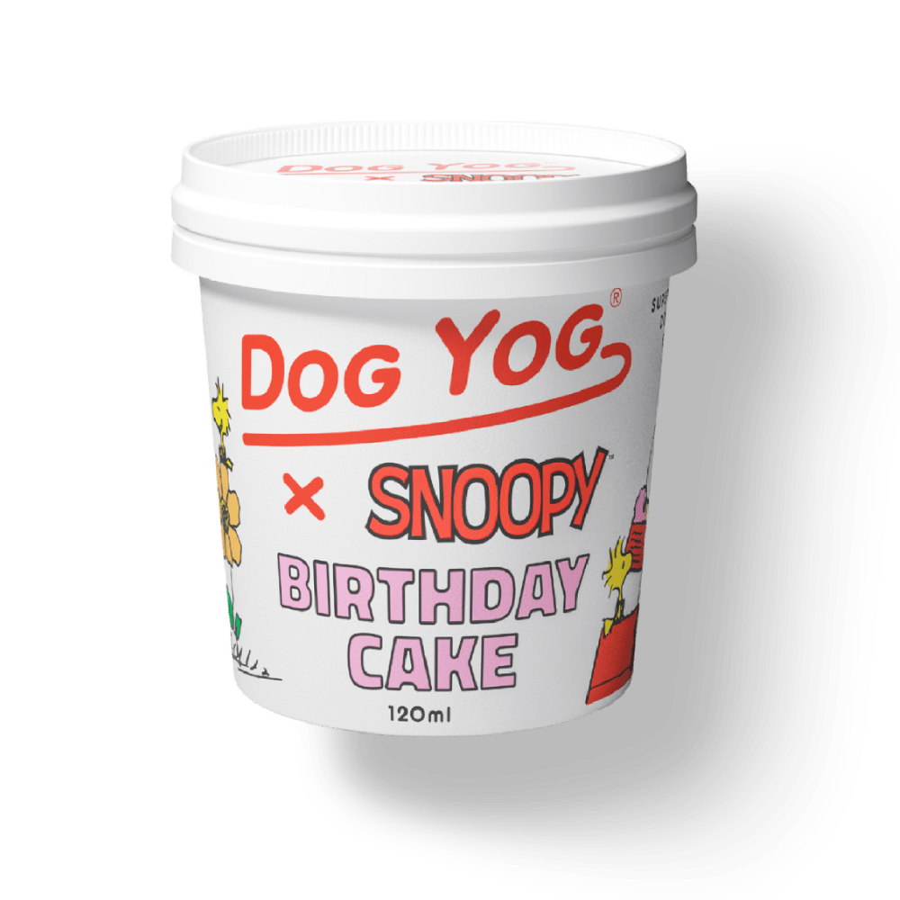 Snoopy Birthday Cake Dog Ice Cream 120ml