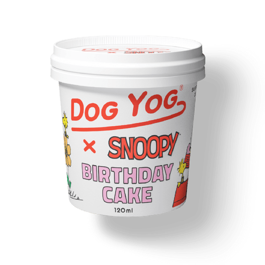 Snoopy Birthday Cake Dog Ice Cream 120ml
