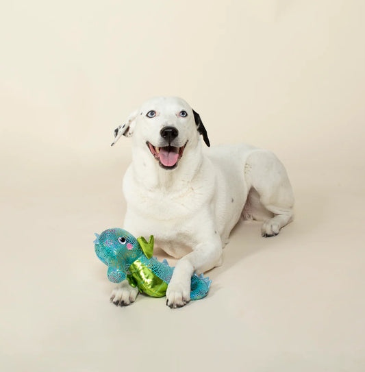 Shelly The Seahorse - Fringe Studio Dog Toy