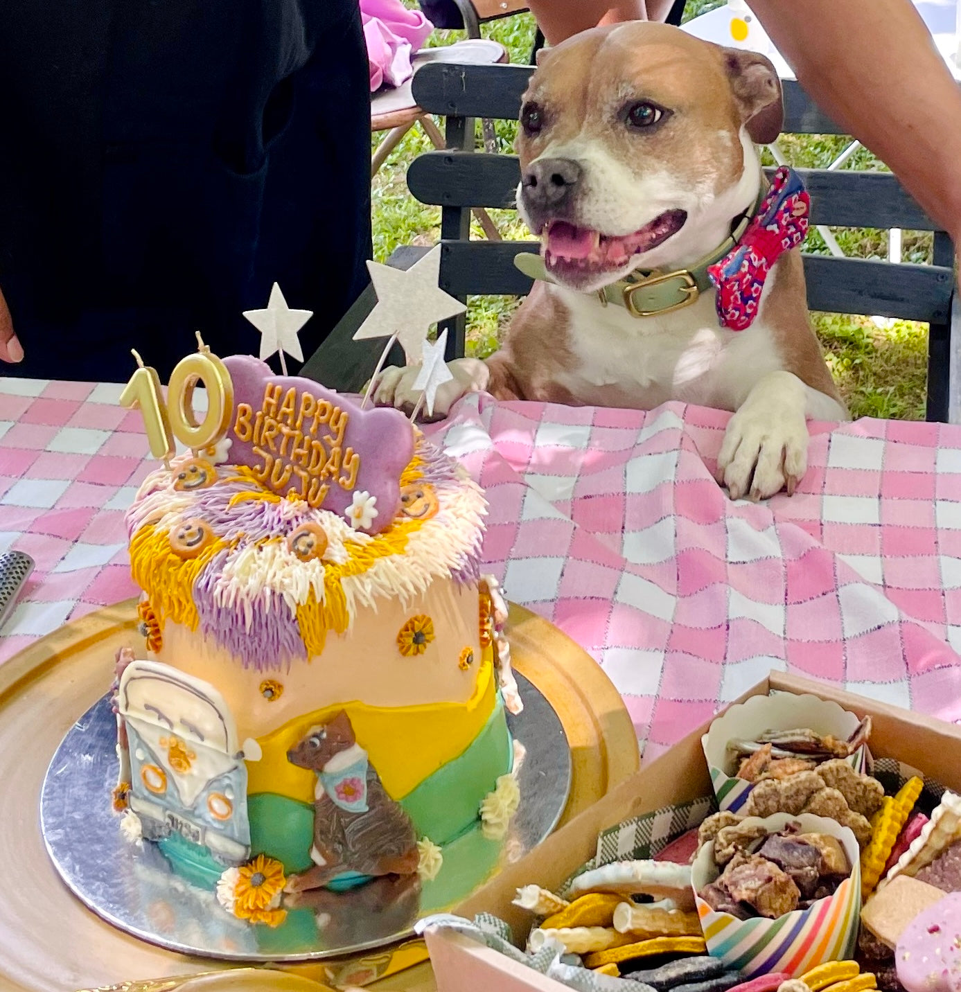 Enquire about a Custom Dog Cake