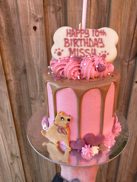 Gourmet Dog Cake with Carob Drip - Pink