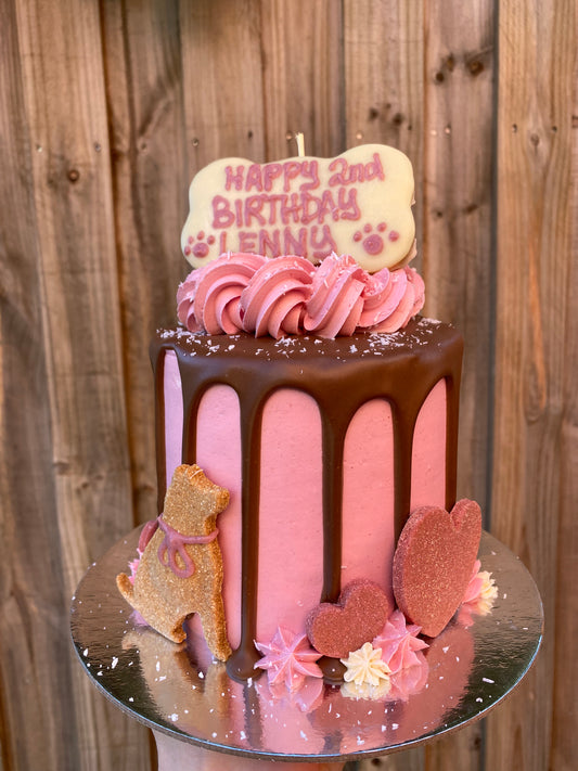 Gourmet Dog Cake with Carob Drip - Pink