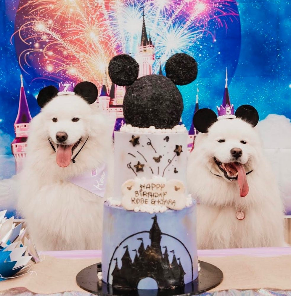 Enquire about a Custom Dog Cake