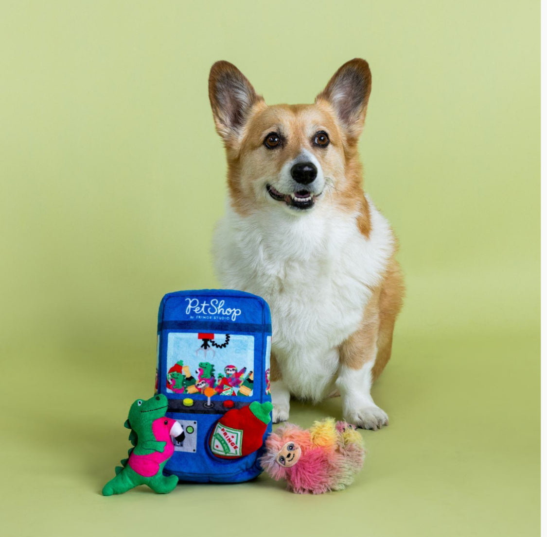 Fringe Studio Ready Set Claw Machine Hide & Seek Burrow Dog Toy