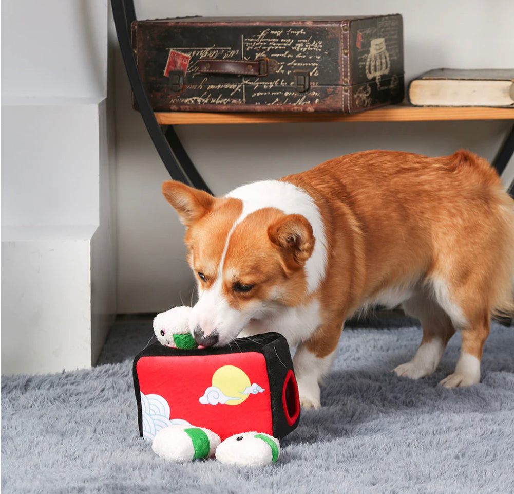 Foodie Japan - Bento Box