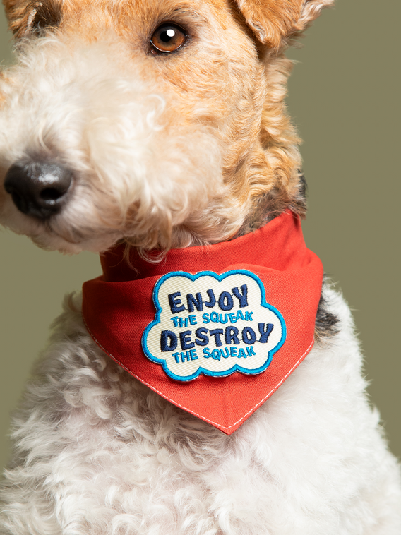 Enjoy The Squeak - Merit Badge Iron On