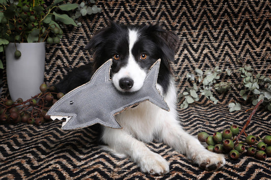Shazza the Great White Shark Felt Toy
