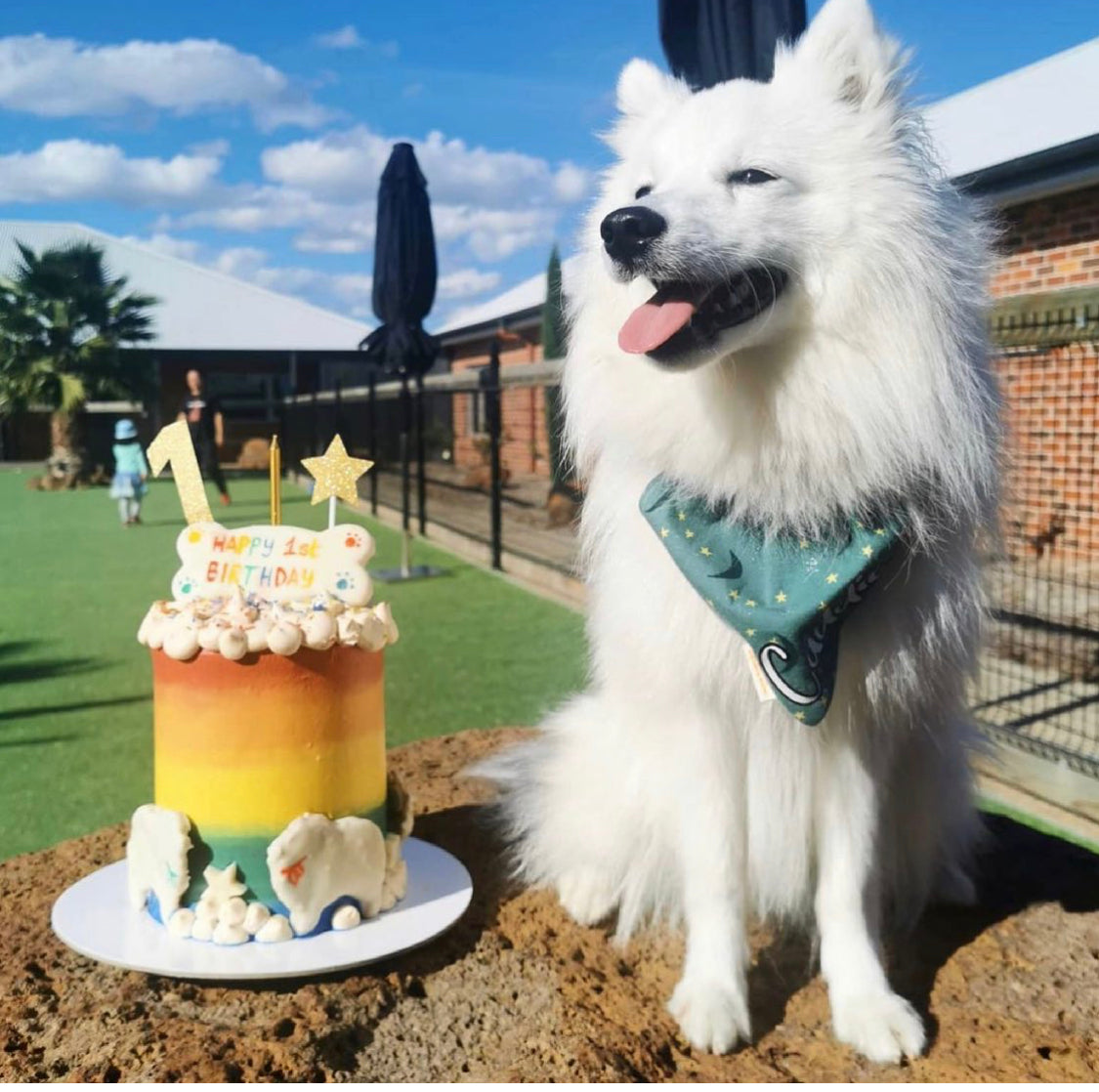 Dog Rainbow Cake