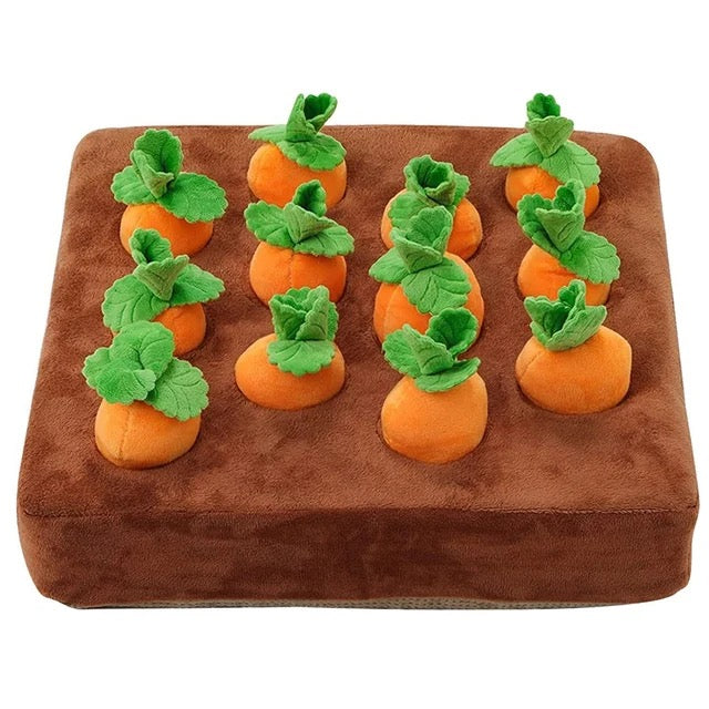 Carrot Snuffle Garden