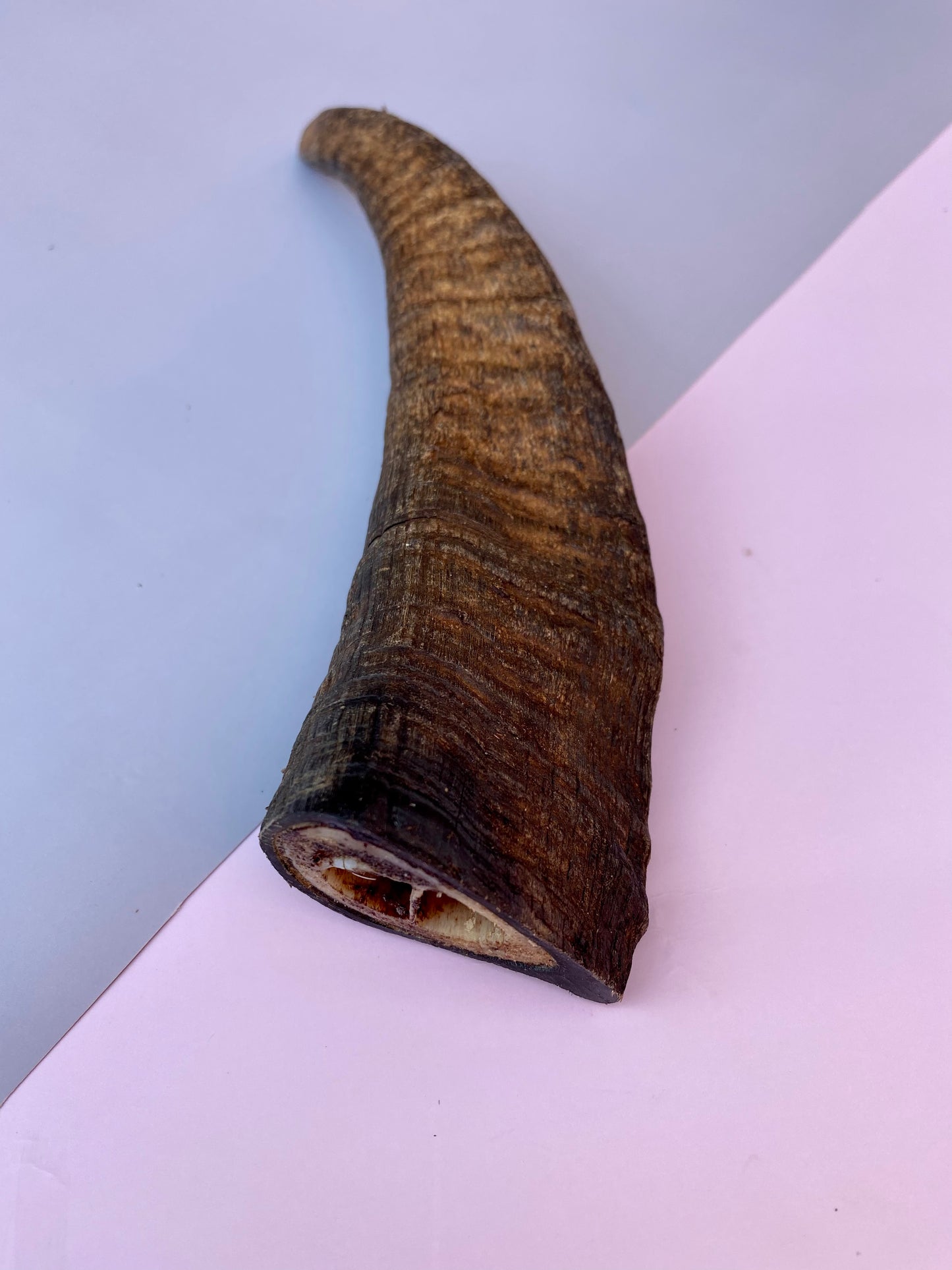 Goat Horns Dental Chew (with marrow)