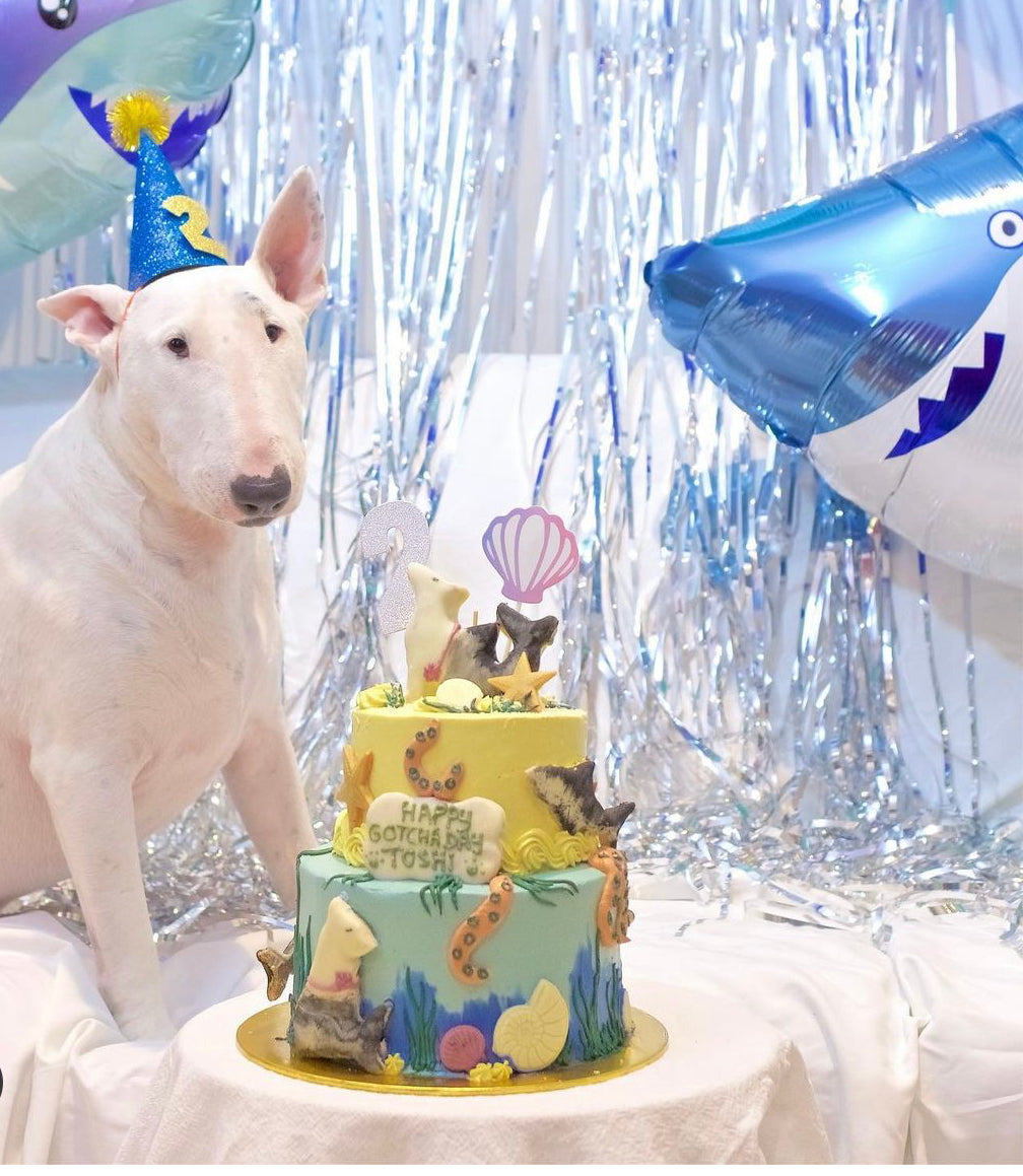 Enquire about a Custom Dog Cake