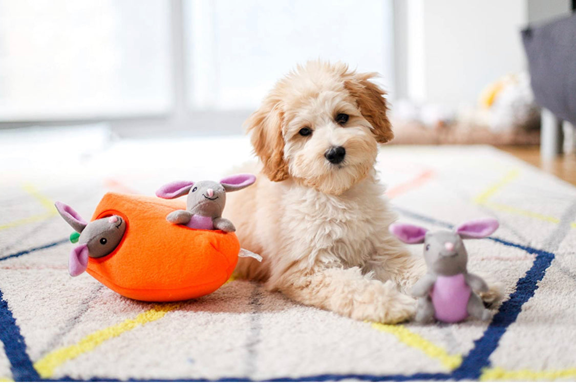 Zippy Burrow - Bunny & Carrot