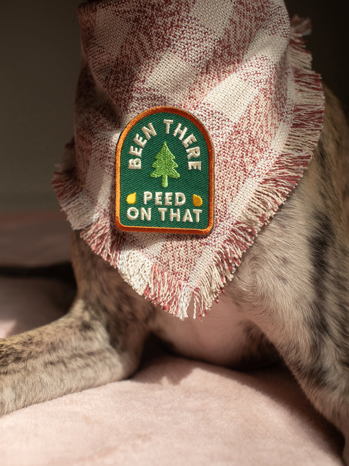 Been There, Peed On That Merit Badge Iron-On