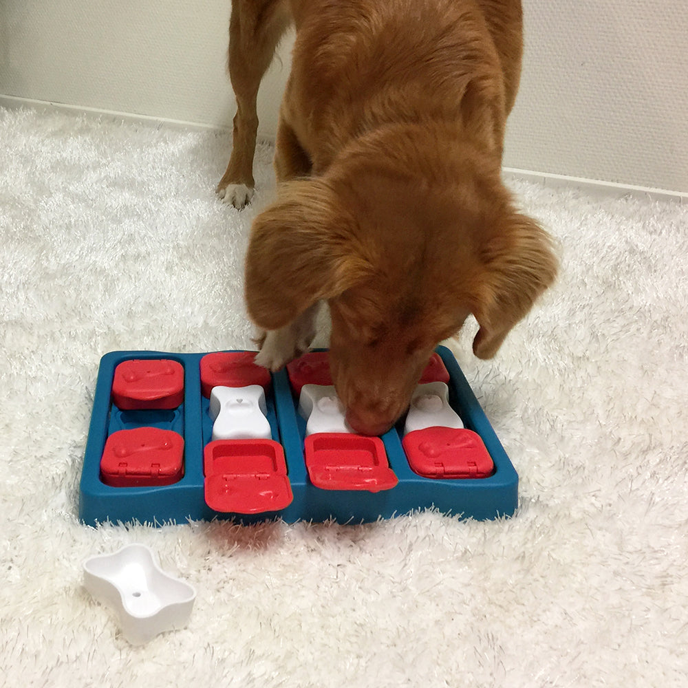 Brick Interactive Treat Dispenser Dog Puzzle Lvl2