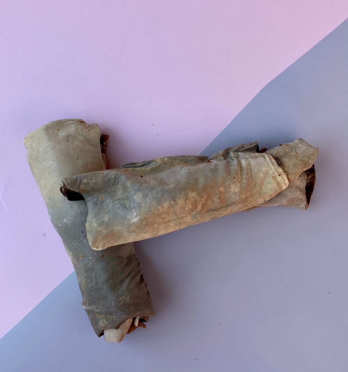 Fish Skin Dental Chews 2-pack